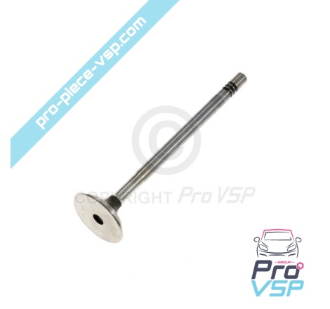 Exhaust valve