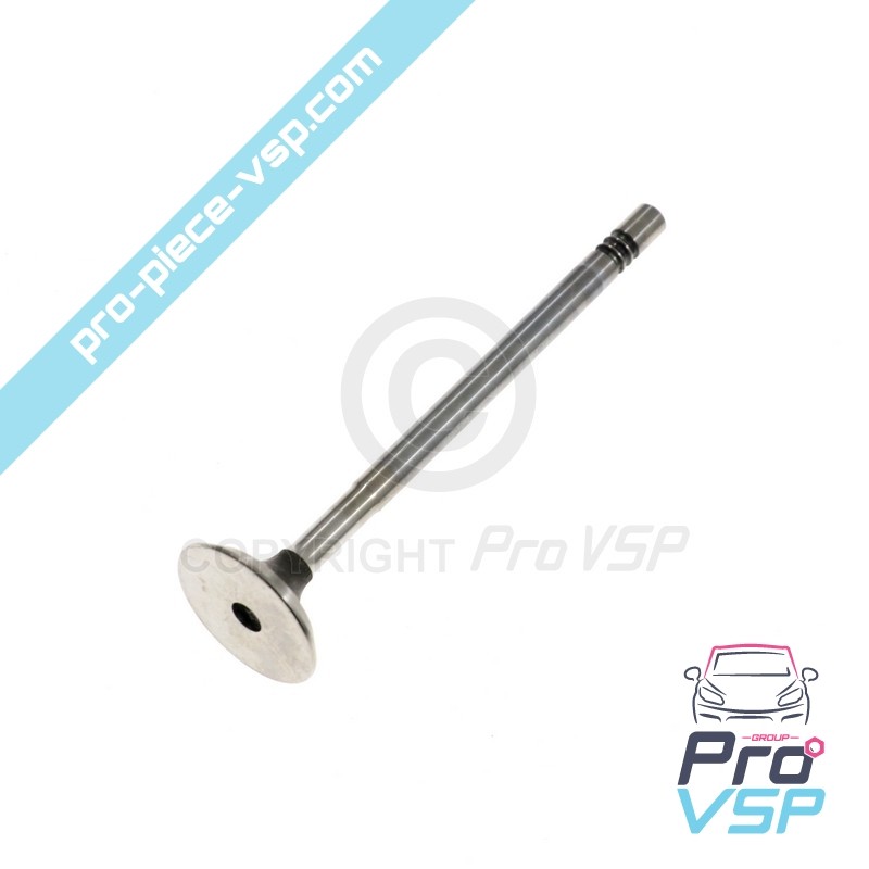 Exhaust valve