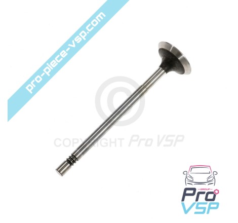 Exhaust valve