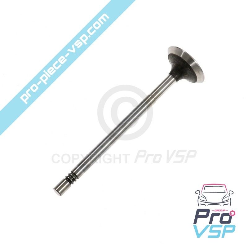 Exhaust valve