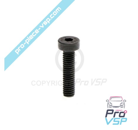 Screw fastening screw with diesel