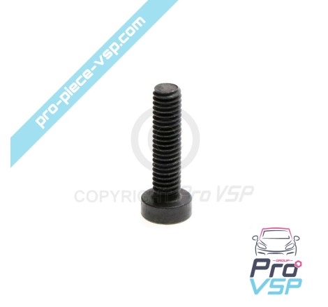 Screw fastening screw with diesel