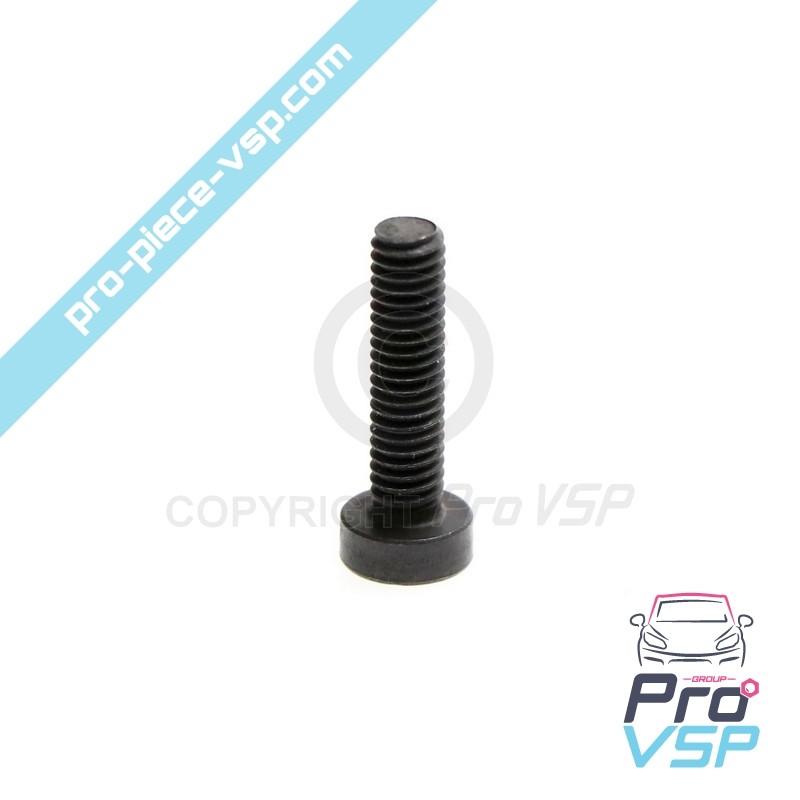 Screw fastening screw with diesel