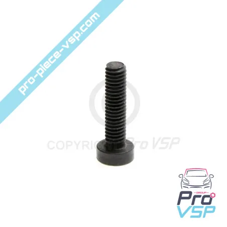 Fixing screw with die gas oil Lombardini Focs Progress 502
