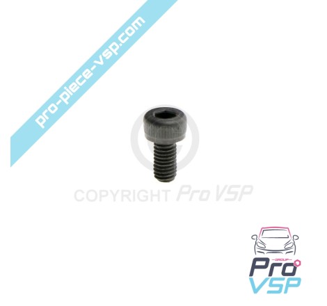 Pump injector control screw