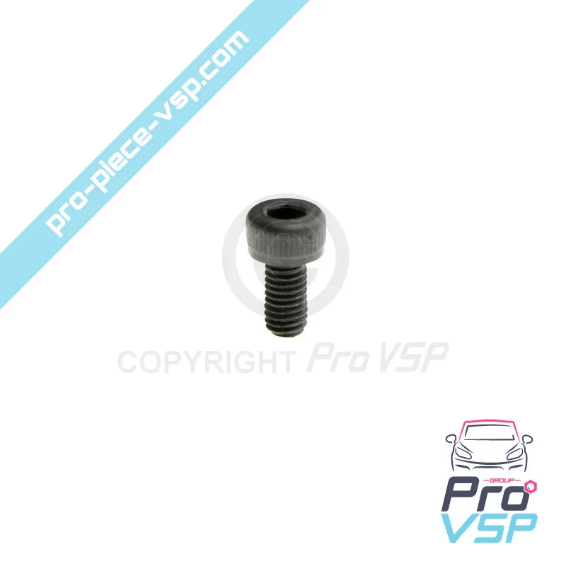 Engine pump injector control screw Lombardini Focs Progress 502