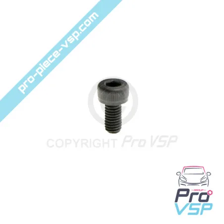 Engine pump injector control screw Lombardini Focs Progress 502