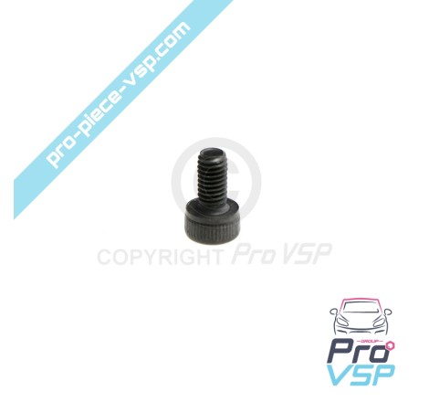 Pump injector control screw