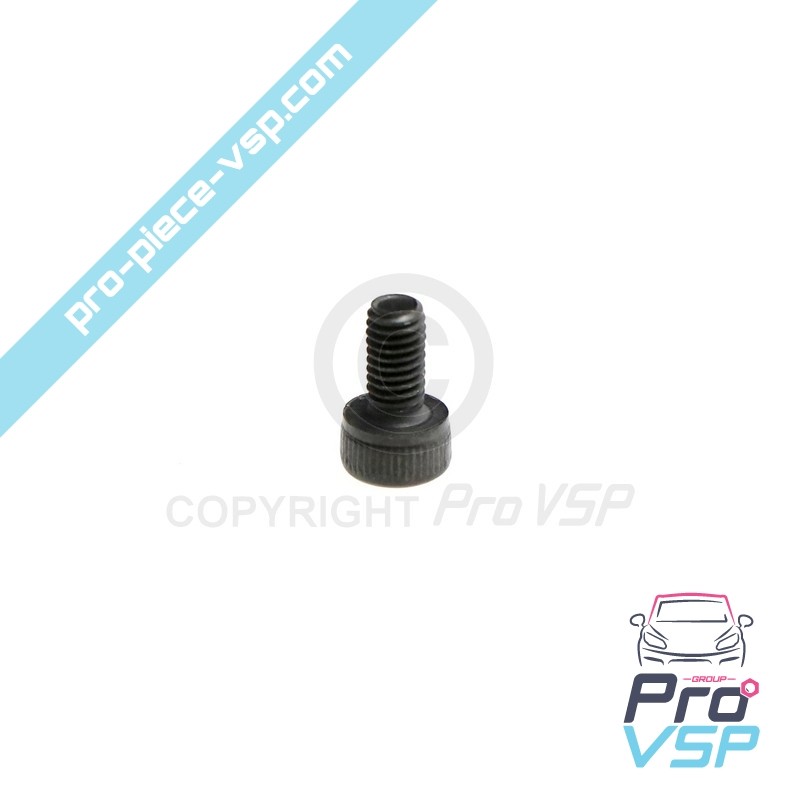 Pump injector control screw