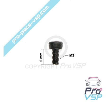 Pump injector control screw