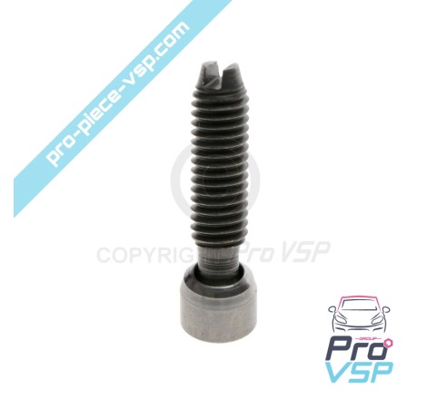 Rocker adjustment screw