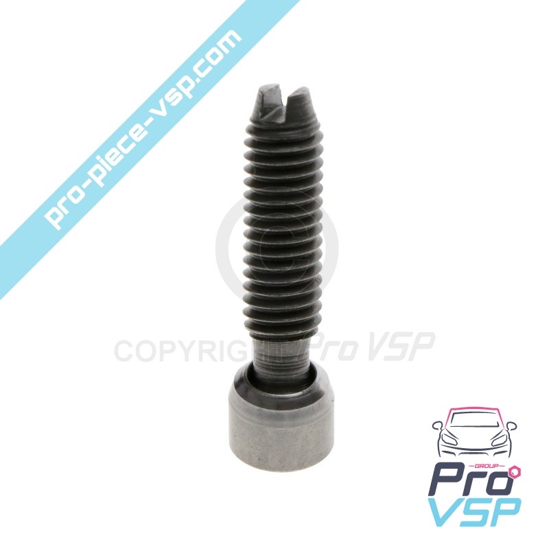 Rocker adjustment screw