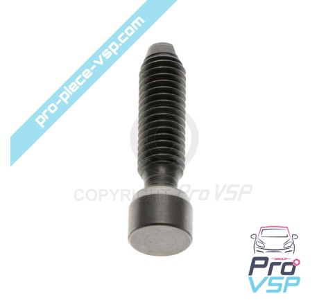 Rocker adjustment screw