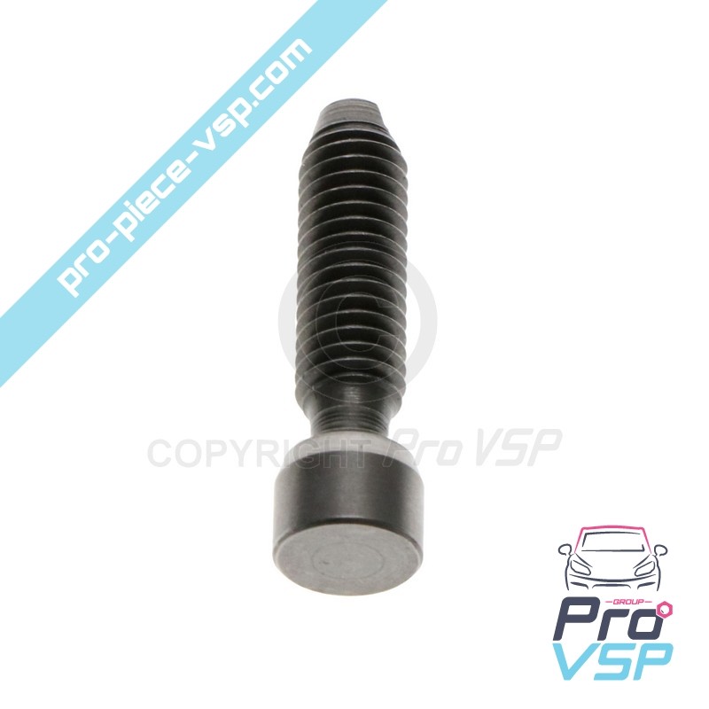 Rocker adjustment screw
