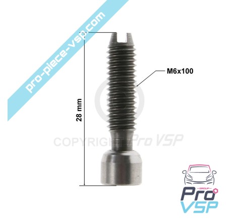 Rocker adjustment screw