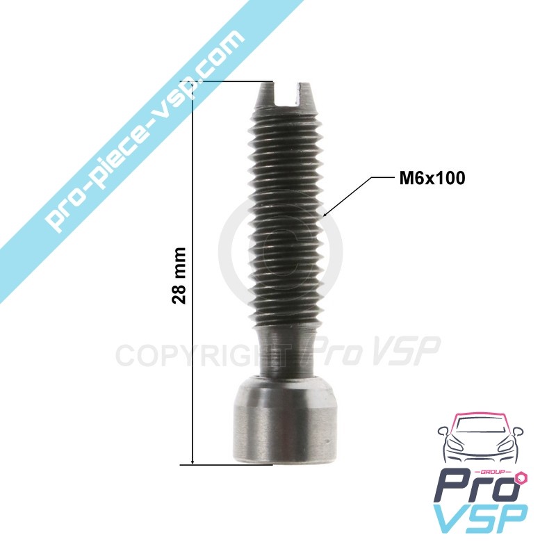 Rocker adjustment screw