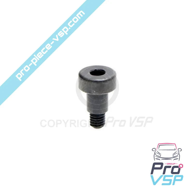Vis de commande injecteur pompe pour moteur Lombardini Focs Progress 502