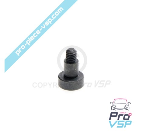 Tornillo de control del inyector de la bomba