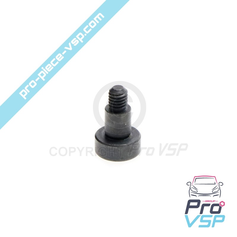 Tornillo de control del inyector de la bomba