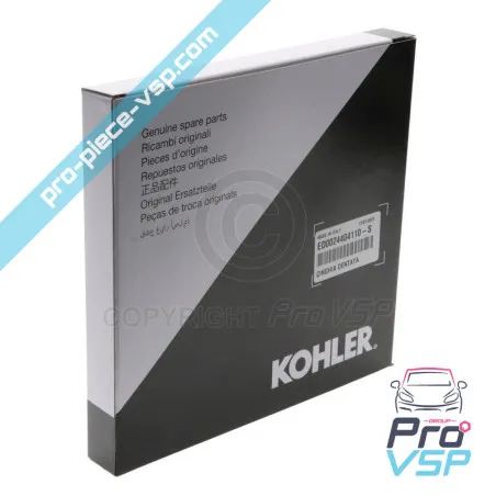 Cureaua de distribuție Lombardini dci