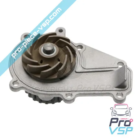 Adaptable water pump for Lombardini engine dci