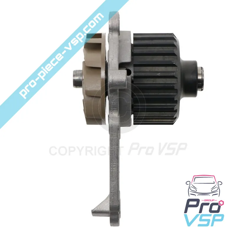 Adaptable water pump for Lombardini engine dci