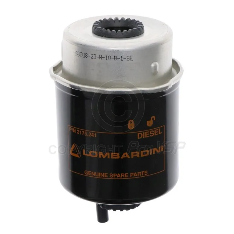 Ursprung Gasoil Filter för Lombardini-motor dci