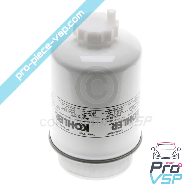 Filtro gasolio di origine per motore Lombardini LDW 492 DCi e LDW 480 HDi / Seconda assemblea