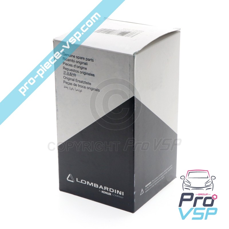 Gas filter
