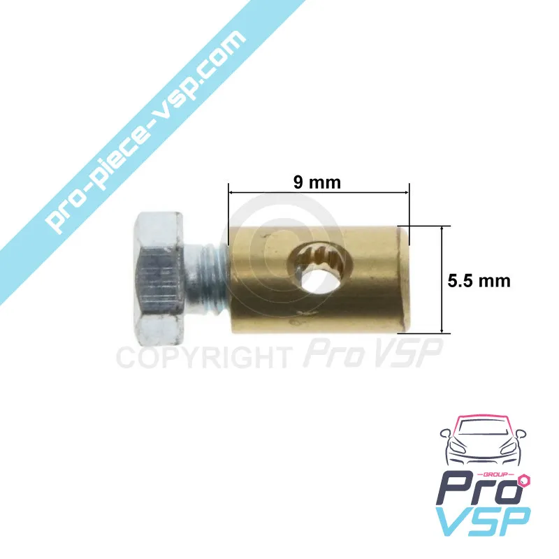 Bay Bay of Hatcho Origine pentru Casalini