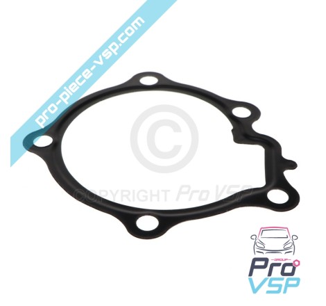 Water pump gasket