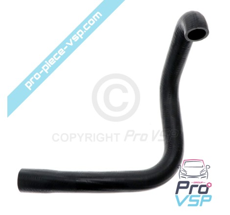 Upper hose
