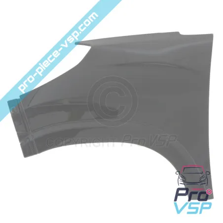 Ala anteriore sinistra