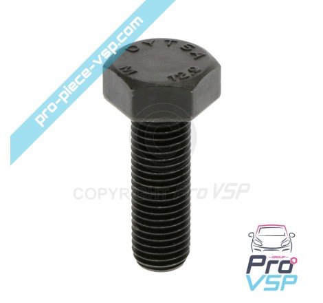 Caps Tree Pulley Fixing Screw
