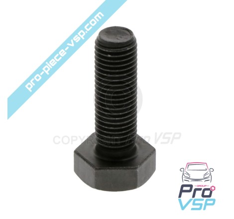 Tree-to-soul pulley fixation screws