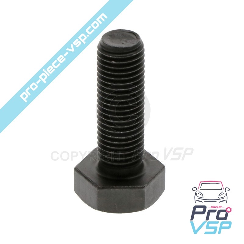 Caps Tree Pulley Fixing Screw