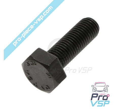 Tree-to-soul pulley fixation screws