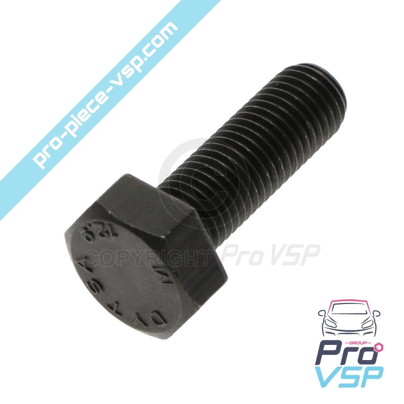 Caps Tree Pulley Fixing Screw