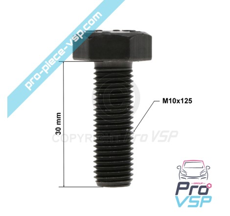 Caps Tree Pulley Fixing Screw