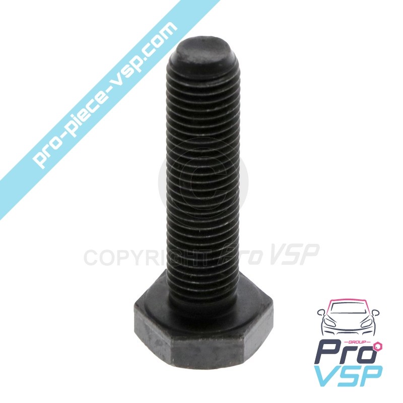 Conical Motor Variator Support Screw