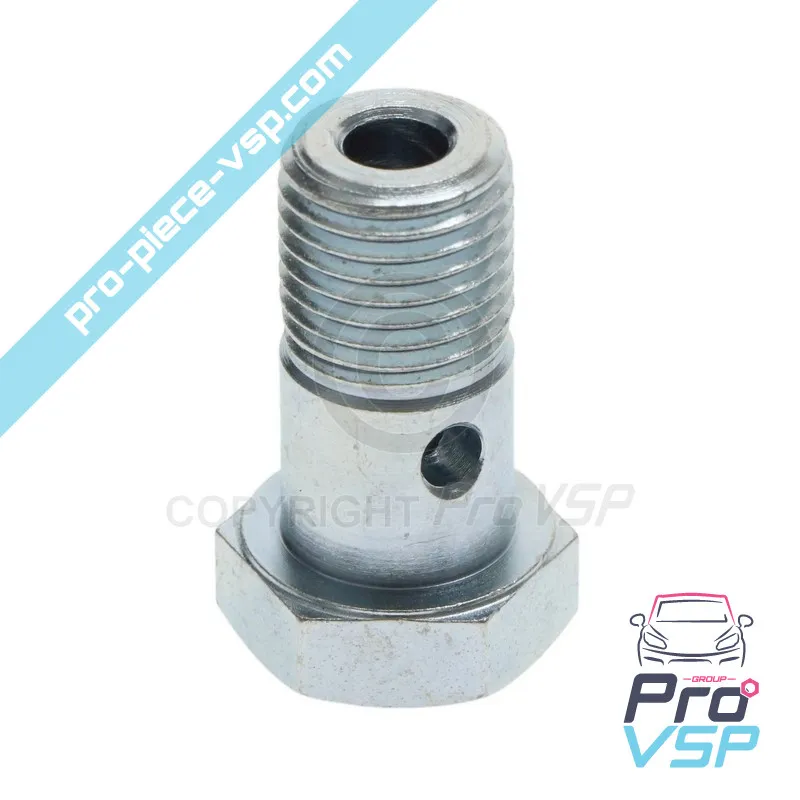 Banjo șurub pentru motor Lombardini Focs 502