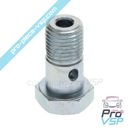 Banjo șurub pentru motor Lombardini Focs 502