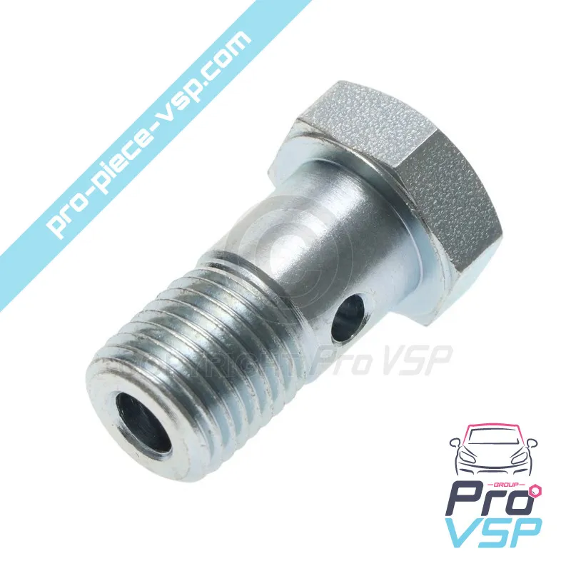 Vis banjo pour moteur Lombardini Focs 502