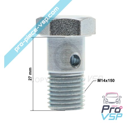 Tornillo banjo