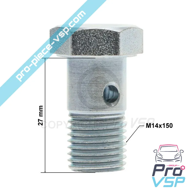 Banjo screw for engine Lombardini Focs 502