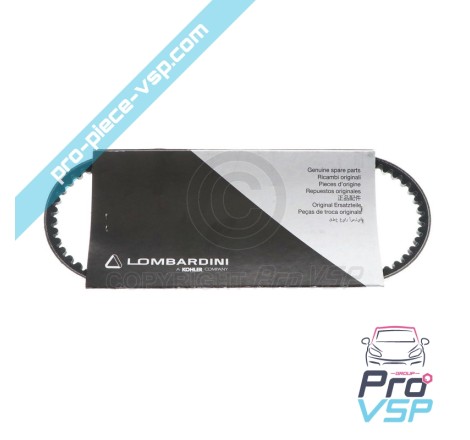 Origem para cinto de alternador do motor Lombardini DCI