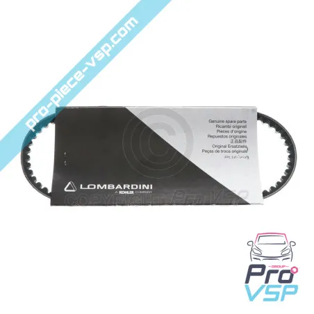 Origin for engine alternator belt Lombardini DCI