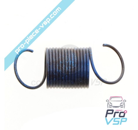 Blaue Motorsteuerfeder Lombardini Focs Progress 502
