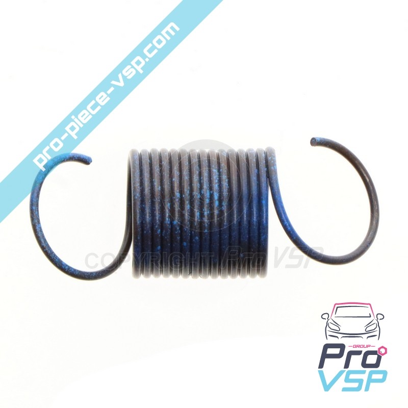 Blaue Motorsteuerfeder Lombardini Focs Progress 502