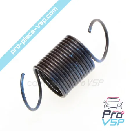 Ressort de régulation bleu pour moteur Lombardini Focs Progress 502